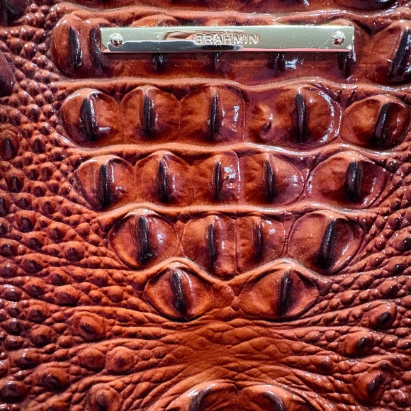 Brahmin Pecan Melbourne leather bag - Picture 4 of 7